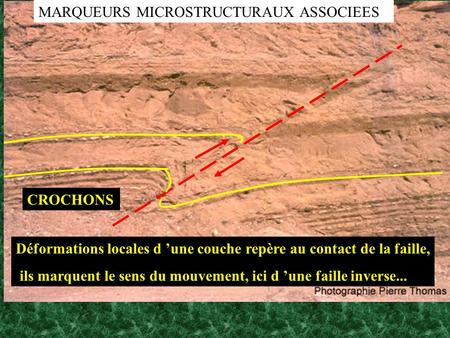 MARQUEURS MICROSTRUCTURAUX ASSOCIEES