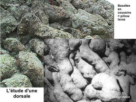 L'étude d'une dorsale Chenaillet Basaltes en coussins = pillow lavas