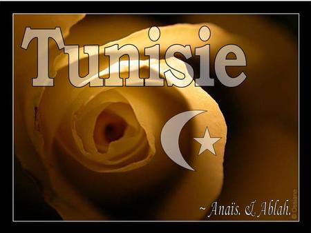 Tunisie ~ Anaïs. & Ablah..