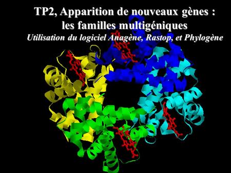 TP2, Apparition de nouveaux gènes : les familles multigéniques