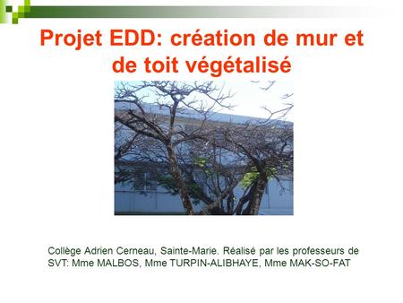 Projet EDD: création de mur et de toit végétalisé