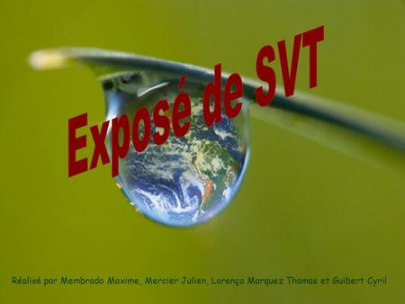 Exposé de SVT Réalisé par Membrado Maxime, Mercier Julien, Lorenço Marquez Thomas et Guibert Cyril.