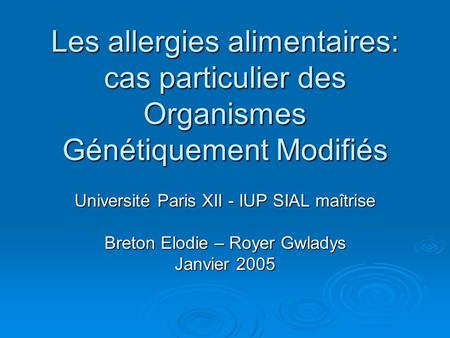 Université Paris XII - IUP SIAL maîtrise Breton Elodie – Royer Gwladys
