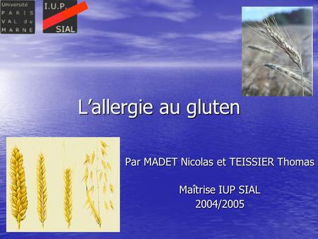 Par MADET Nicolas et TEISSIER Thomas Maîtrise IUP SIAL 2004/2005