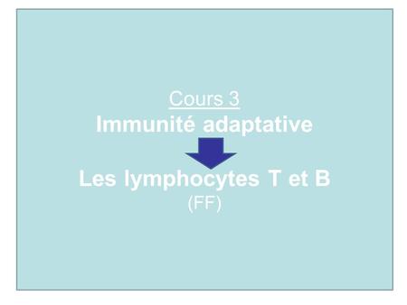 Immunité adaptative Les lymphocytes T et B