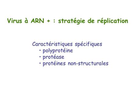 Virus à ARN + : stratégie de réplication