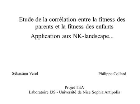 Application aux NK-landscape...