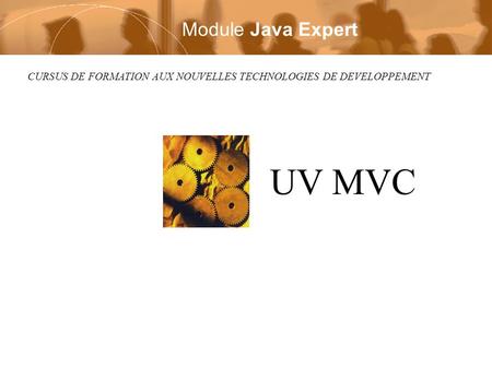 UV MVC Module Java Expert