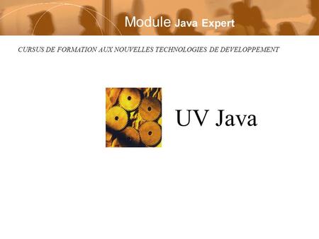 CURSUS DE FORMATION AUX NOUVELLES TECHNOLOGIES DE DEVELOPPEMENT UV Java Module Java Expert.
