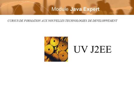 UV J2EE Module Java Expert
