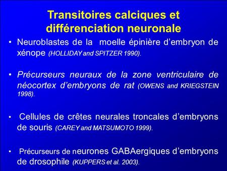 Transitoires calciques et différenciation neuronale