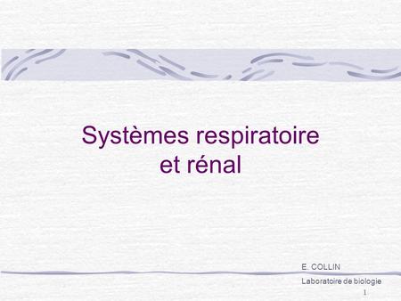 Systèmes respiratoire et rénal