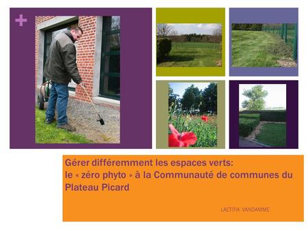 Gérer différemment les espaces verts: le « zéro phyto » à la Communauté de communes du Plateau Picard COMPTE RENDU DE LA REUNION DU 3 AVRIL 2008 Présents: