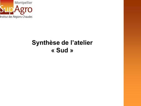 Synthèse de latelier « Sud ». Montpellier SupAgro dans son environnement local Montpellier SupAgro –DEFI et DRI : définir les rôles en interne et avec.