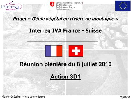 08/07/10 Génie végétal en rivière de montagne Projet « Génie végétal en rivière de montagne » Interreg IVA France - Suisse Réunion plénière du 8 juillet.