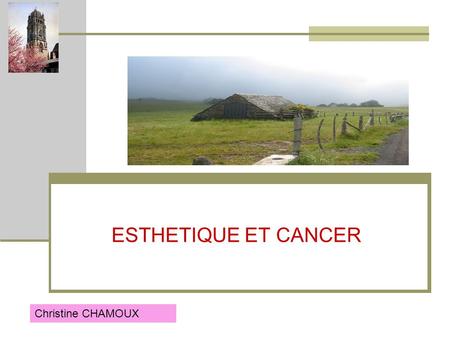ESTHETIQUE ET CANCER Christine CHAMOUX.