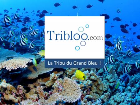 La Tribu du Grand Bleu !.