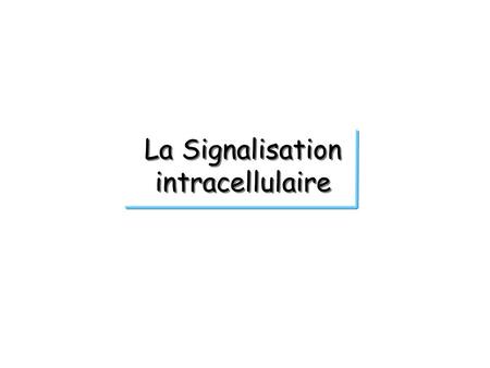 La Signalisation intracellulaire