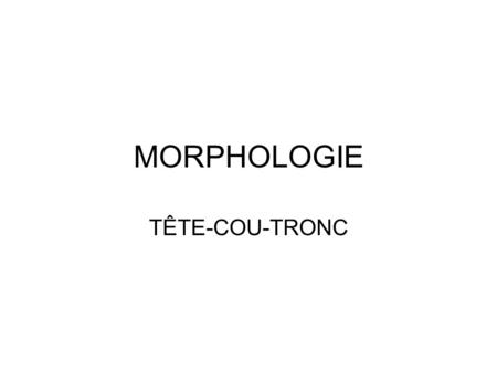 MORPHOLOGIE TÊTE-COU-TRONC.
