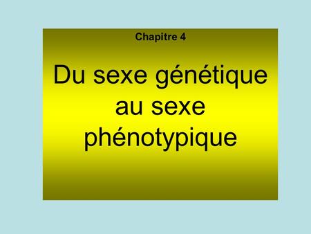 Du sexe génétique au sexe phénotypique