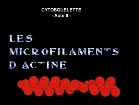 CYTOSQUELETTE - Acte II -
