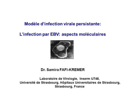 Modèle d’infection virale persistante: