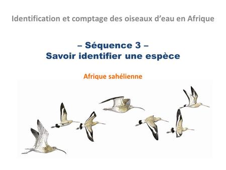– Séquence 3 – Savoir identifier une espèce Afrique sahélienne