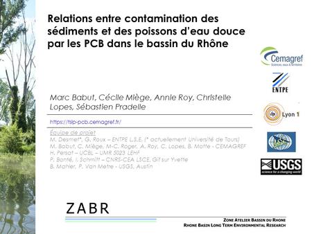 Relations entre contamination des sédiments et des poissons d’eau douce par les PCB dans le bassin du Rhône Marc Babut, Cécile Miège, Annie Roy, Christelle.