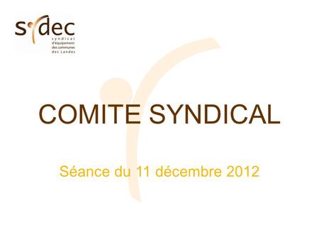 COMITE SYNDICAL Séance du 11 décembre 2012. Budget primitif 2013 BUDGET PRINCIPAL.