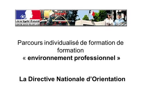 Parcours individualisé de formation de formation « environnement professionnel » La Directive Nationale dOrientation.