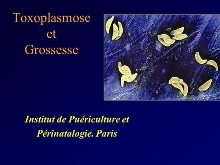 Toxoplasmose et Grossesse
