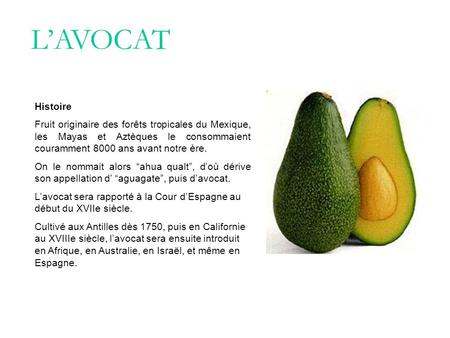L’AVOCAT Histoire Fruit originaire des forêts tropicales du Mexique, les Mayas et Aztèques le consommaient couramment 8000 ans avant notre ère. On le nommait.