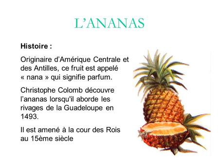 L’ANANAS Histoire : Originaire d’Amérique Centrale et des Antilles, ce fruit est appelé « nana » qui signifie parfum. Christophe Colomb découvre l’ananas.