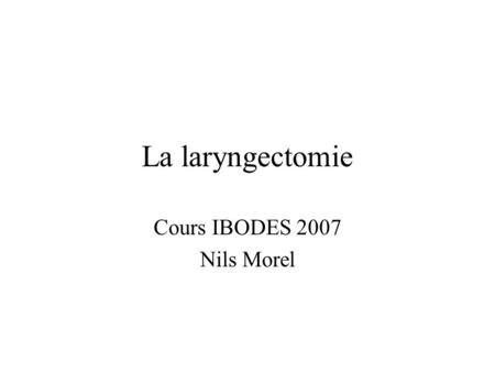 Cours IBODES 2007 Nils Morel