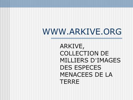 WWW.ARKIVE.ORG ARKIVE, COLLECTION DE MILLIERS D’IMAGES DES ESPECES MENACEES DE LA TERRE.