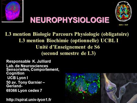 NEUROPHYSIOLOGIE L3 mention Biologie Parcours Physiologie (obligatoire) L3 mention Biochimie (optionnelle) UCBL I Unité d’Enseignement de S6 (second semestre.