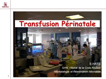 1 Transfusion Périnatale S.HAŸS GHN, Hôpital de la Croix Rousse Néonatalogie et Réanimation Néonatale.