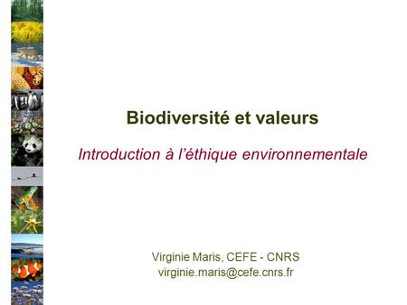 Biodiversité et valeurs Introduction à léthique environnementale Virginie Maris, CEFE - CNRS