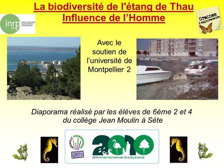 La biodiversité de l'étang de Thau