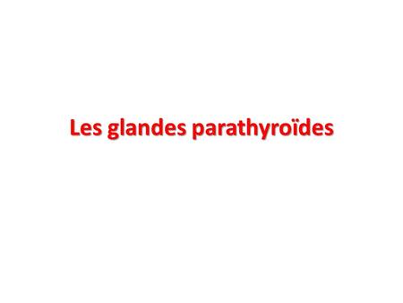 Les glandes parathyroïdes