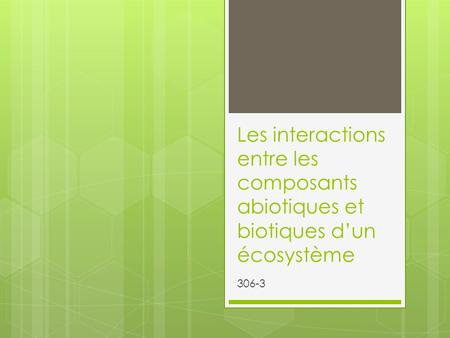 Les interactions entre les composants abiotiques et biotiques d’un écosystème 306-3.