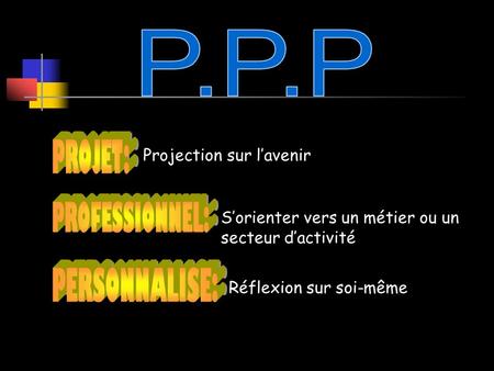 P.P.P PROJET: PROFESSIONNEL: PERSONNALISE: Projection sur l’avenir