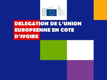 DELEGATION DE L’UNION EUROPEENNE EN COTE D’IVOIRE