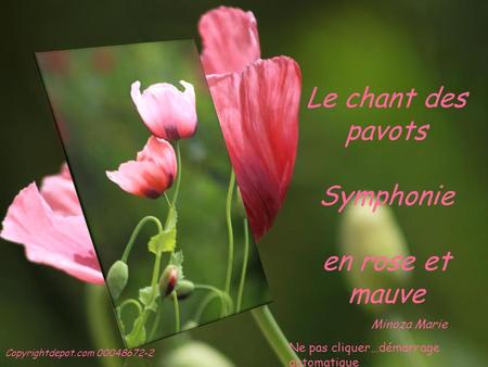 Le chant des pavots Symphonie en rose et mauve Minoza Marie Copyrightdepot.com 00048672-2 Ne pas cliquer…démarrage automatique.