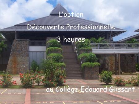 L’option Découverte Professionnelle 3 heures au Collège Edouard Glissant.
