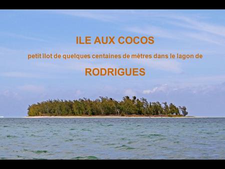 ILE AUX COCOS petit îlot de quelques centaines de mètres dans le lagon de RODRIGUES.