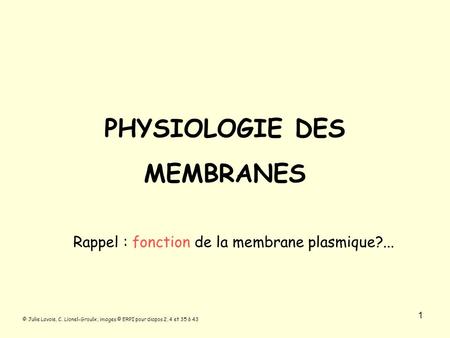 PHYSIOLOGIE DES MEMBRANES Rappel : fonction de la membrane plasmique?... 1 © Julie Lavoie, C. Lionel-Groulx ; images © ERPI pour diapos 2, 4 et 35 à 43.