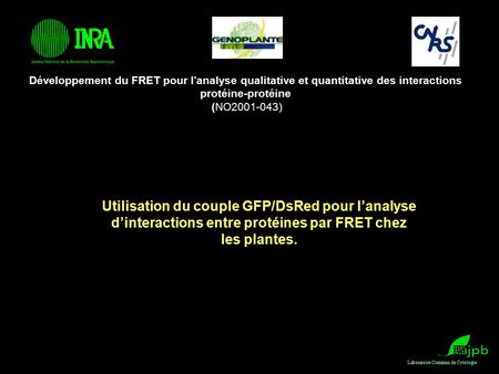 Développement du FRET pour l'analyse qualitative et quantitative des interactions protéine-protéine (NO2001-043) Utilisation du couple GFP/DsRed pour l’analyse.