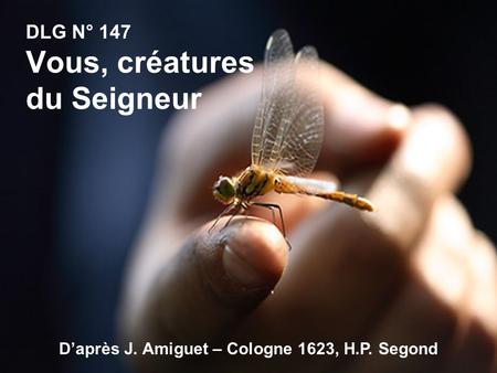 DLG N° 147 Vous, créatures du Seigneur D’après J. Amiguet – Cologne 1623, H.P. Segond.