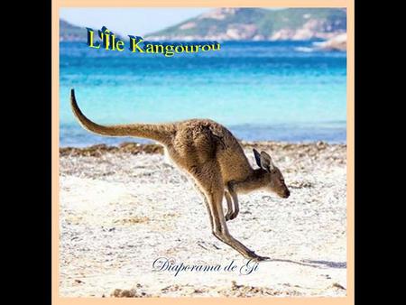 Diaporama de Gi 40 magnifiques clich é s de l ’î le Kangourou, somptueux territoire australien o ù la nature reste indompt é e Situ é e au sud de l ’